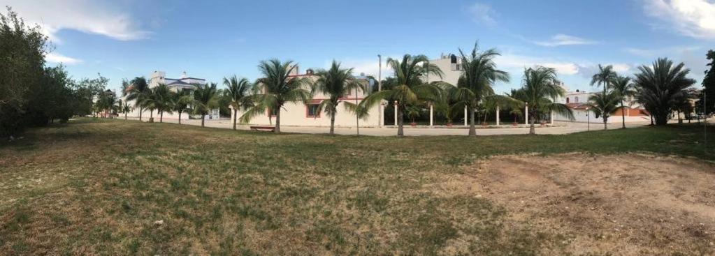 Cancun Ocean View Playa Del Nino Kamer foto